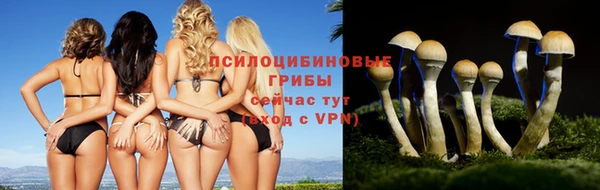 мяу мяу мука Михайловск