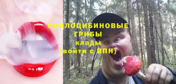 мяу мяу мука Михайловск