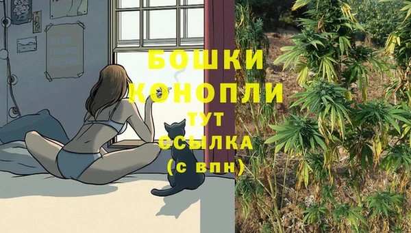 мяу мяу мука Михайловск