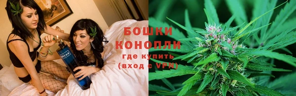мяу мяу мука Михайловск