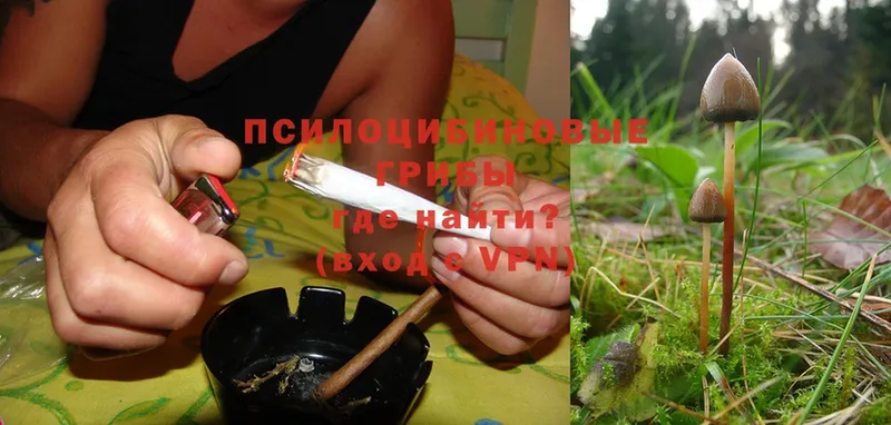 Галлюциногенные грибы Magic Shrooms  где продают   Никольск 