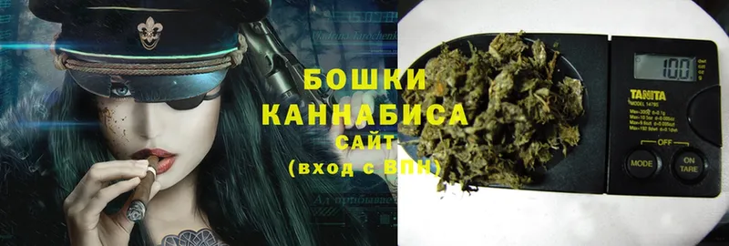 закладка  Никольск  Канабис THC 21% 